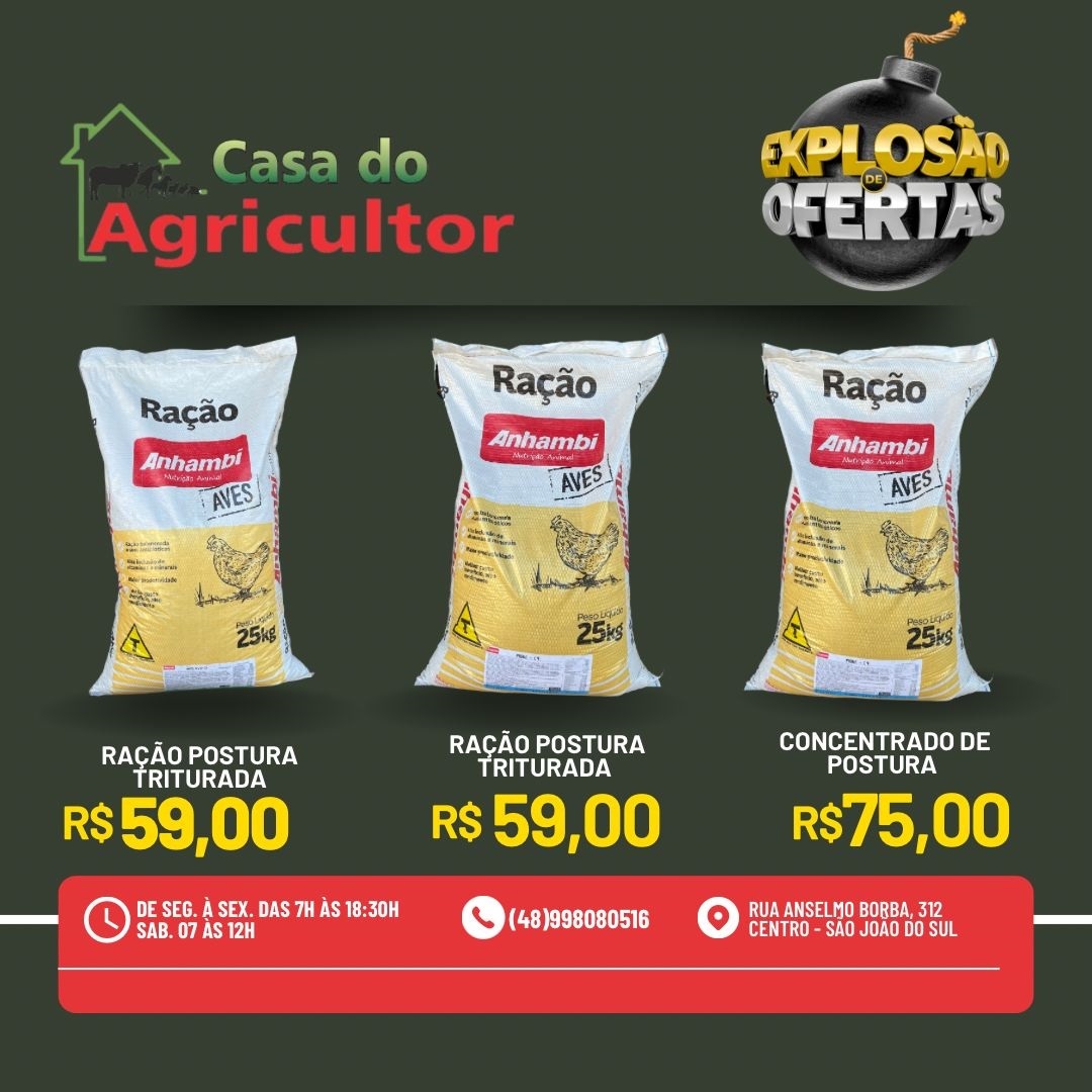 publicidade